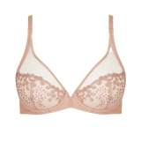 Delice Sheer Plunge Bra