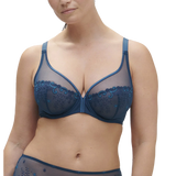 Delice Sheer Plunge Bra