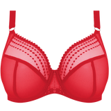 Matilda Plunge Bra