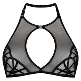Destiny Halter