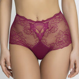 Sublime en Dentelle Retro Brief