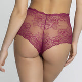 Sublime en Dentelle Retro Brief