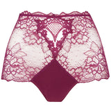Sublime en Dentelle Retro Brief