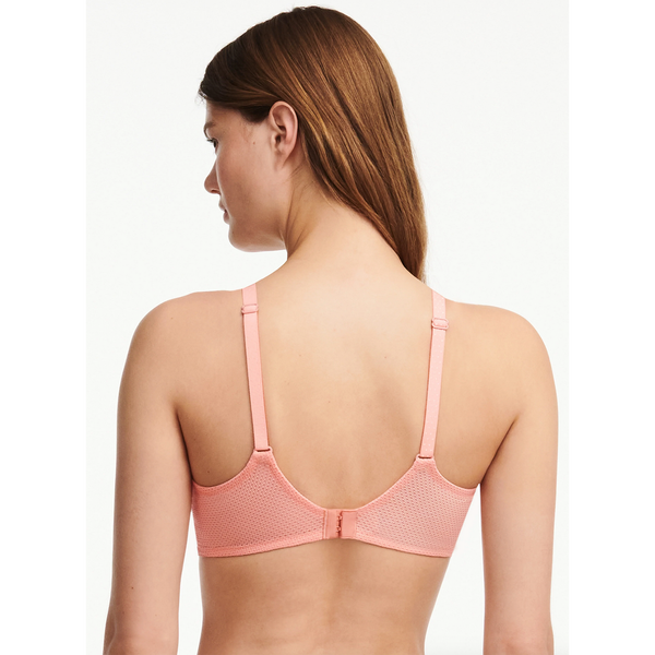 Bra Fitting by Belle Lacet Lingerie in Ahwatukee Foothills Phoenix, AZ -  Alignable