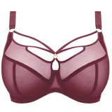 Sachi Plunge Bra