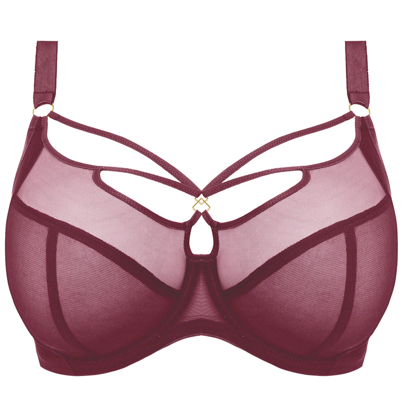 Sachi Plunge Bra