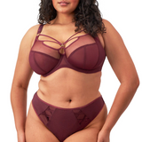 Sachi Plunge Bra